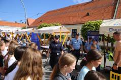 Mini IMG 7411